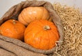 Three yellow-orange pumpkins inside a sack on hay background, Halloween concept and autumn pumpkin harvest, farm product Royalty Free Stock Photo