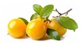 Three yellow plums with leaves on a white background