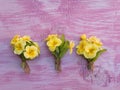 Three yellow promrose flowers bouquets