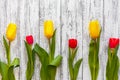 Three yellow and three red tulips on a vintage white antique background Royalty Free Stock Photo