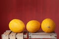 Three yellow ripe honeydew melons lie side by side on wooden crates for fruit. The background is red Royalty Free Stock Photo