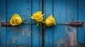 three yellow roses are on a blue door with rusted iron handles and a rusted iron handle on the side of a blue door