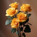 three yellow roses in a vase on a brown background Royalty Free Stock Photo