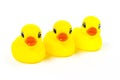 Three of Yellow rubber duck toy on white background, isolated Royalty Free Stock Photo