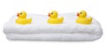 Three Yellow Rubber Ducks in a Row Royalty Free Stock Photo
