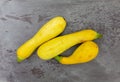 Three yellow summer squash on a gray background Royalty Free Stock Photo