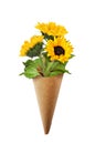 Three yellow sunflowers in a craft paper corner isolated Royalty Free Stock Photo
