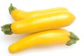 Three yellow zucchini squash Royalty Free Stock Photo