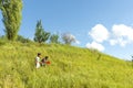 The three young boy walks on the mountain on clear spring or a summer day. They catch butterflies or insects with a butterfly net