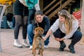 Three young girls petting a shepherd dog puppy outside a farmhouse. Animalism concept