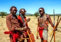 Three young Masai warriors in traditional clothes and weapons are standing in the savannah.