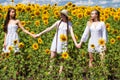 Three young women in white dress posing against the blue sky in sunflowers field Royalty Free Stock Photo