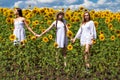 Three young women in white dress posing against the blue sky in sunflowers field Royalty Free Stock Photo