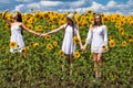 Three young women in white dress posing against the blue sky in sunflowers field Royalty Free Stock Photo