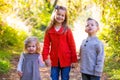 Three Young Siblings Royalty Free Stock Photo