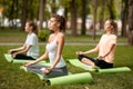 Three young slim girls sit in the lotus positions with closing eyes doing yoga on yoga mats on green grass in the park Royalty Free Stock Photo