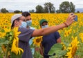 Three young teenagers taking a picture of themselves amidst yellow sunflowers in the countryside Royalty Free Stock Photo