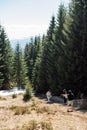 Three young tourists walk in the mountains on a path through the woods, going down Royalty Free Stock Photo