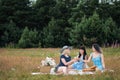 Three young women, blond, brunette and with dyed hair in blue dresses, and hats, sit on plaid and drink wine from Royalty Free Stock Photo