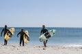 Three young women carry their surfboards. Royalty Free Stock Photo