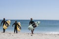 Three young women carry their surfboards.