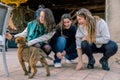 Three young women having fun playing with a sheepdog puppy. Animalism concept