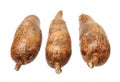 Three yuca roots Royalty Free Stock Photo