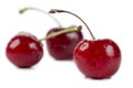 Three yummy cherries