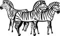 Three Zebras