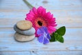 Three zen stones on old wood with purple ad pink flower