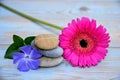 Three zen stones on old wood with purple ad pink flower