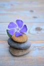 Three zen stones on old wood with purple flower