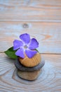 Three Zen stones on used wood with purple flower