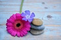 Three Zen stones on used wood with purple pink flowers