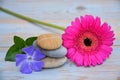 Three Zen stones on used wood with purple and pink flowers