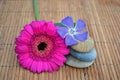 Three zenstones with flower on bamboo reed background