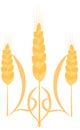 coat of arms of ukraine trident spikelets