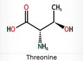 Threonine, L-Threonine, Thr, C4H9NO3 essential amino acid molecule. Skeletal chemical formula Royalty Free Stock Photo