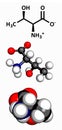 Threonine (Thr, T) amino acid, molecular model Royalty Free Stock Photo