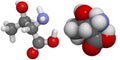 Threonine (Thr, T) molecule Royalty Free Stock Photo