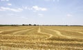 Threshed fields in Castilla-La Mancha Royalty Free Stock Photo