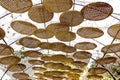 Threshing basket decorated for sunshade