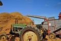 Threshing at a farm show reunion