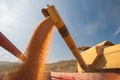 Wheat harvest season Royalty Free Stock Photo