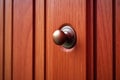 Threshold of Possibilities: Closeup of Wooden Door Knob (AI Generated)