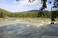 Thresholds and for rapid mountain river Katun. Royalty Free Stock Photo