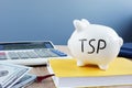 Thrift savings plan TSP written on a piggy bank. Royalty Free Stock Photo