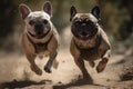 Ai Generative French bulldogs running in a race, selective focus on the dog