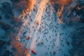 Thrilling Winter Sports Abstraction