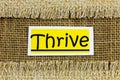 Thrive healthy plant growth natural wellness fitness popular environment